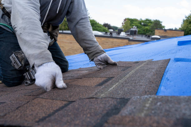 Trusted Holiday Shores, IL Roofing Contractor Experts