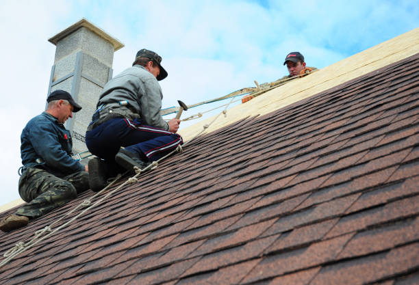 Best Roof Gutter Cleaning  in Holiday Shores, IL