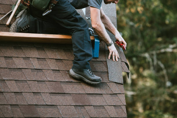 Best Roof Maintenance Services  in Holiday Shores, IL